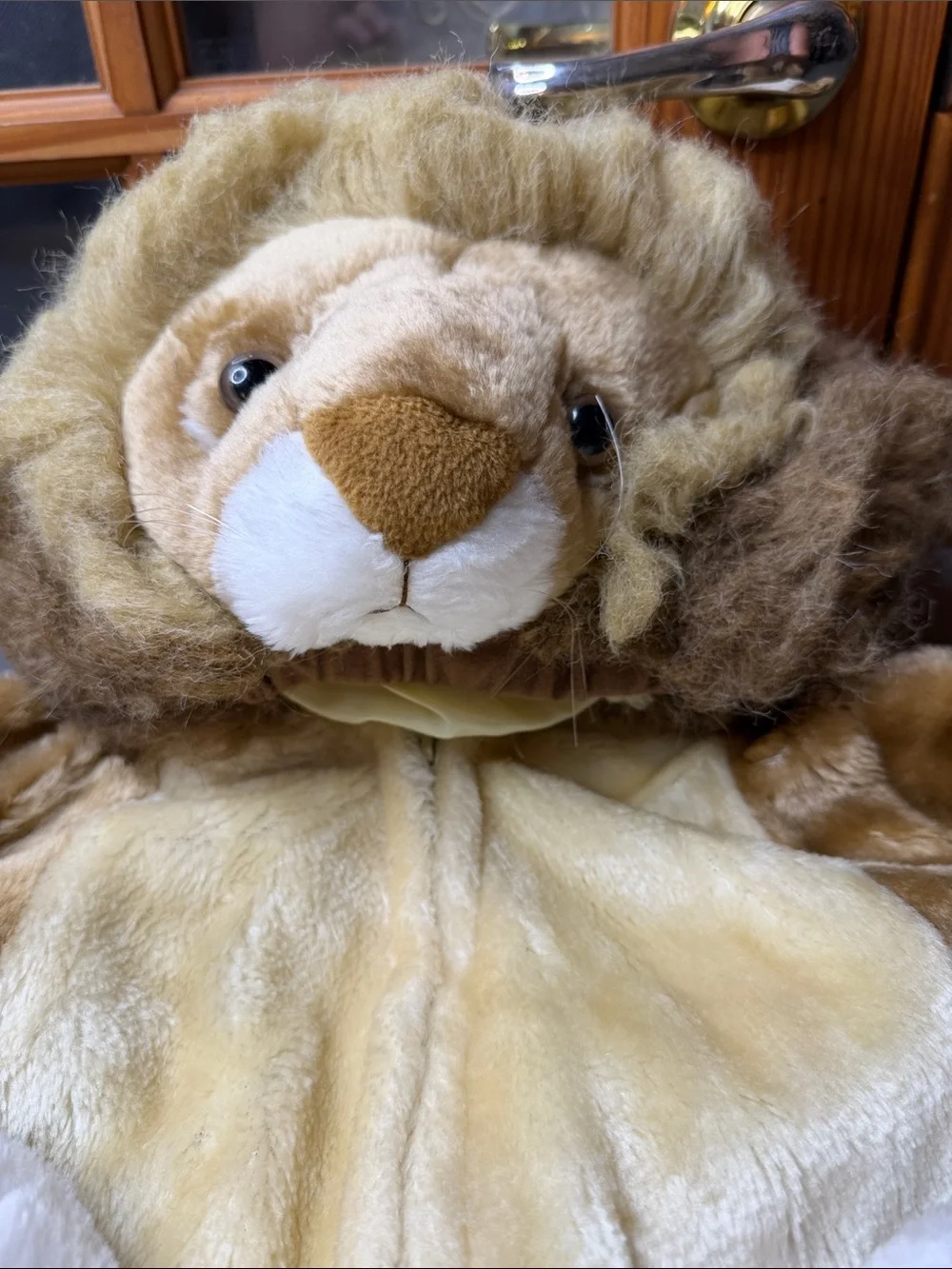 🦁 Kid’s Plush Lion Costume. Size: 6T